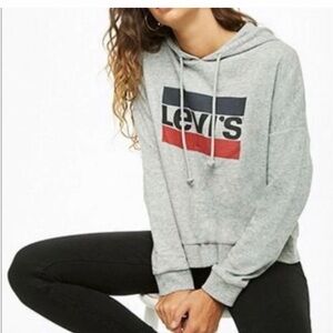 Levi's Gray Logo Hoodie for Men
